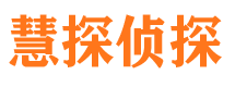 武川市侦探公司